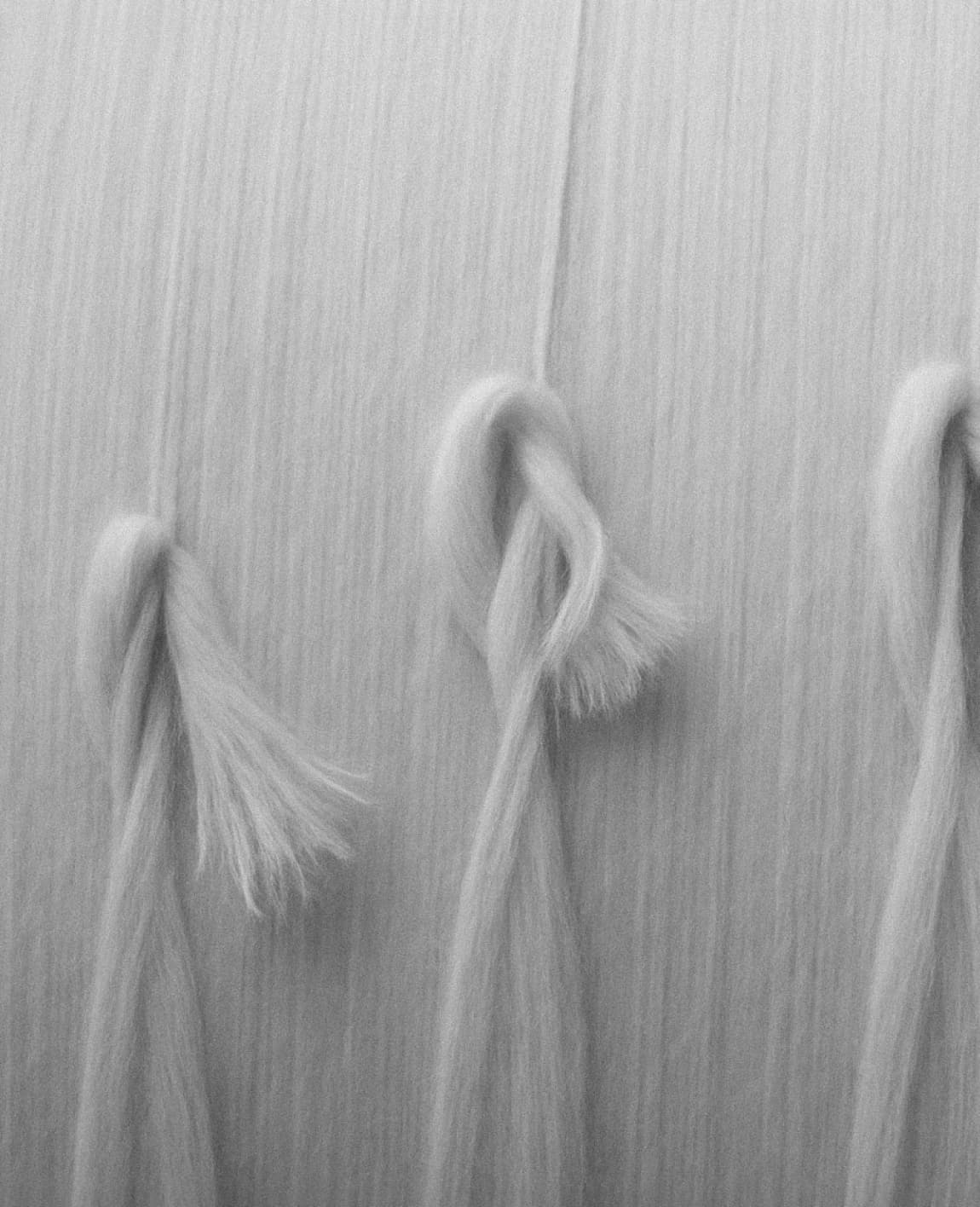 Cashmere 101